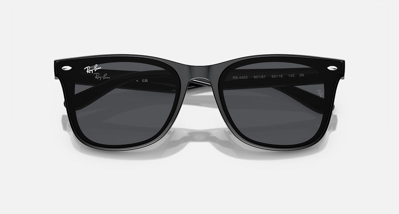 Sunglasses R-B WAYFARER CLASSIC