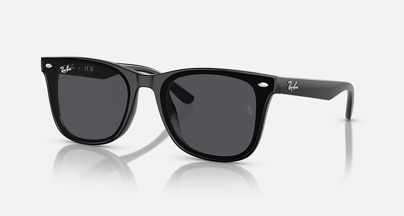 Sunglasses R-B WAYFARER CLASSIC