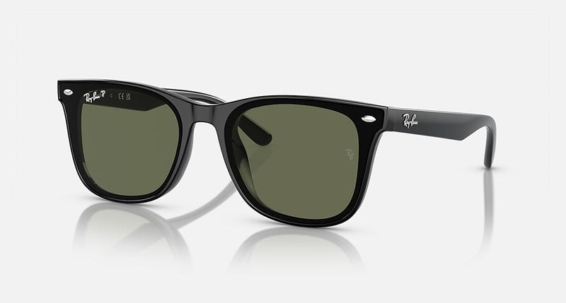 Sunglasses R-B WAYFARER CLASSIC