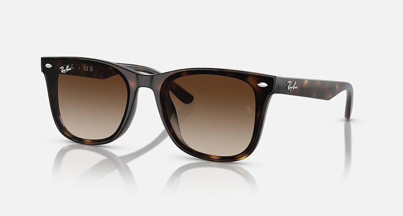 Sunglasses R-B WAYFARER CLASSIC